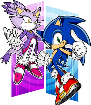 Sonic And Blaze Racing Through The Wind Wallpaper