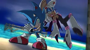 Sonic And Rouge Adventure Wallpaper