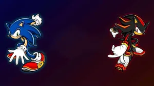 Sonic And Shadow Showdown Wallpaper