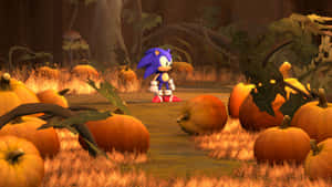 Sonic_ Autumn_ Pumpkin_ Patch_ Adventure Wallpaper