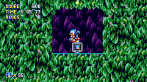 Sonic_ Mystic_ Cave_ Zone_ Screenshot Wallpaper