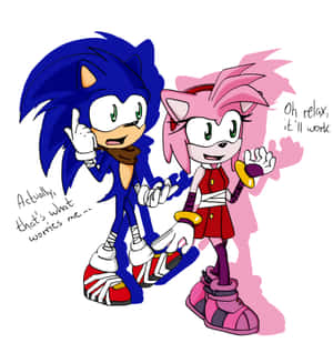 Sonic The Hedgehog And Amy Rose Together In A Heartwarming Scene Wallpaper