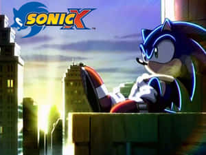Sonic The Hedgehog And Friends In Action Wallpaper