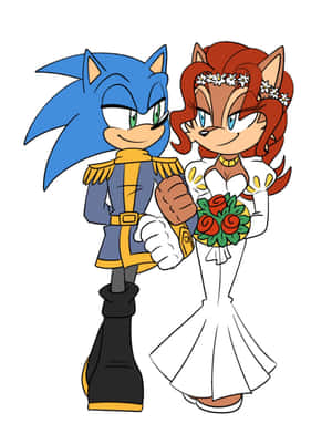 Sonic The Hedgehog And Sally Acorn: Adventure Unite Wallpaper