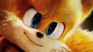 Sonic The Hedgehog Characters In Action Wallpaper