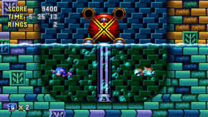 Sonic The Hedgehog Exploring The Thrilling Hydrocity Zone Wallpaper