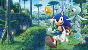 Sonic The Hedgehog Sprints Through A Lush, Green Forest Wallpaper