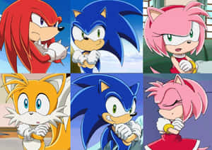 Sonic X And Friends: Ready For Action Wallpaper