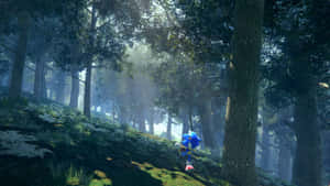 Sonicin Misty Forest Wallpaper