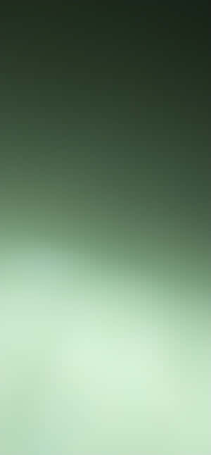 Soothing Green Gradient Wallpaper Wallpaper