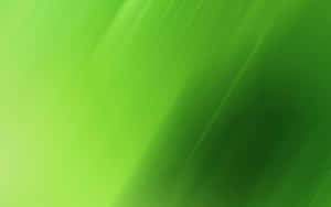 Soothing Green Gradient Wallpaper Wallpaper