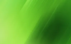 Soothing Green Gradient Wallpaper Wallpaper
