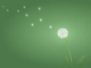 Soothing Green Minimalistic Wallpaper Wallpaper