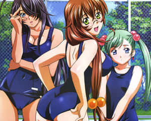 Sophisticated Traditions Of Ikki Tousen Wallpaper