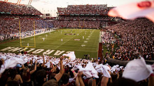 South Carolina Gamecocks Cheering Crowd Arena Wallpaper