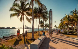 South Florida Waterfront Park Activity Wallpaper