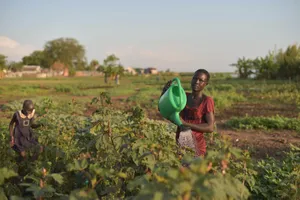 South Sudan Green Watering Can Wallpaper