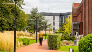 Southampton University Campus Walkway Wallpaper