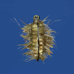 Sowbug Imitation Fly Fishing Lure Wallpaper