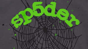 Sp5der Logo Design Wallpaper