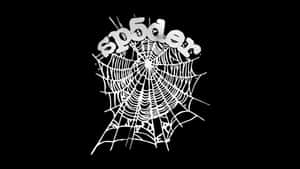 Sp5der Logo Design Wallpaper