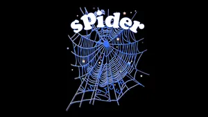 Sp5der Logo Design Wallpaper