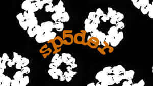 Sp5der Logo Design Wallpaper