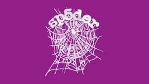 Sp5der Web Design Logo Wallpaper