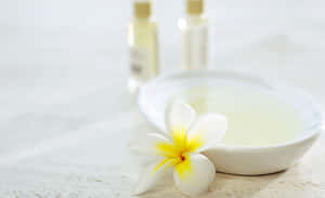 Spa Essentials Plumeria Flowerand Oils Wallpaper