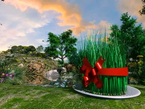 Spacious Rustic Bedroom Wallpaper