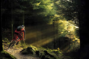 Specialized Mountain Bike Inside The Forest Wallpaper