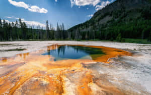 Spectacular Eruption Of A Yellowstone Geyser Wallpaper