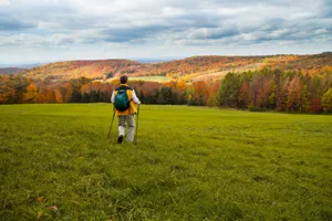 Spectacular Fall Foliage On A Serene Hiking Trail Wallpaper