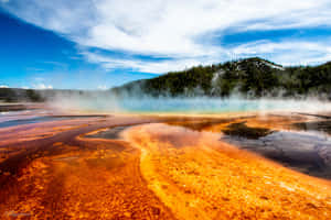 Spectacular Geysers Erupting At Yellowstone National Park Wallpaper