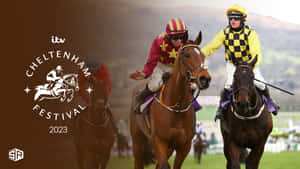 Spectacular Horse Racing At Cheltenham Festival Wallpaper