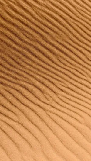 Spectacular Sunset Over Sandy Beach Wallpaper