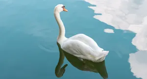 Spectacular View Of The Sunset Wallpaper