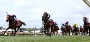 Spectators In Elegant Outfits Enjoying A Thrilling Horse Race On Melbourne Cup Day. Wallpaper