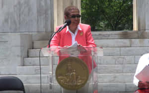 Speech Delivery Of Eleanor Holmes Norton On A Sunny Day Wallpaper