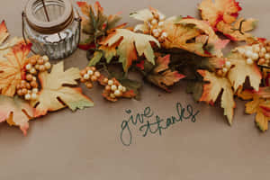 Spend Thanksgiving Showing Gratitude For The Things And People That We Are Thankful For! Wallpaper