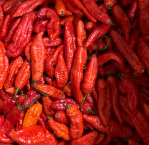 Spicy, Flavorful Ghost Pepper Wallpaper