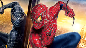 Spider Man 3 1920 X 1080 Wallpaper Wallpaper