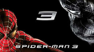 Spider-man 3 - A Hero's Dilemma Wallpaper