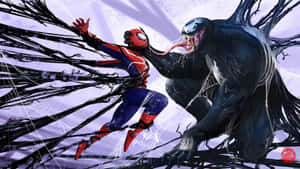 Spider Man And Venom Fighting In The Spider Web Wallpaper