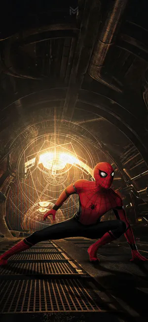 Spider Man Into Spider Verse Hd Wallpaper Wallpaper