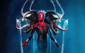 Spider Man Venom Hybrid Wallpaper