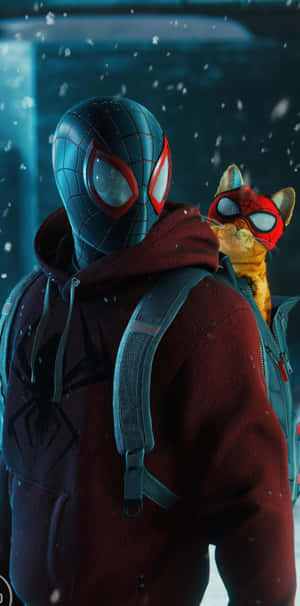 Spider Manand Sidekick Cat Winter Adventure Wallpaper