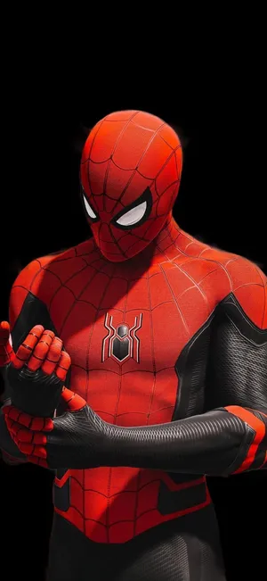 Spider Manin Action Pose Wallpaper