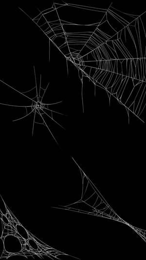 Spider Webs On Black Background Wallpaper