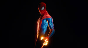 Spiderman Cgi Art Black Wallpaper